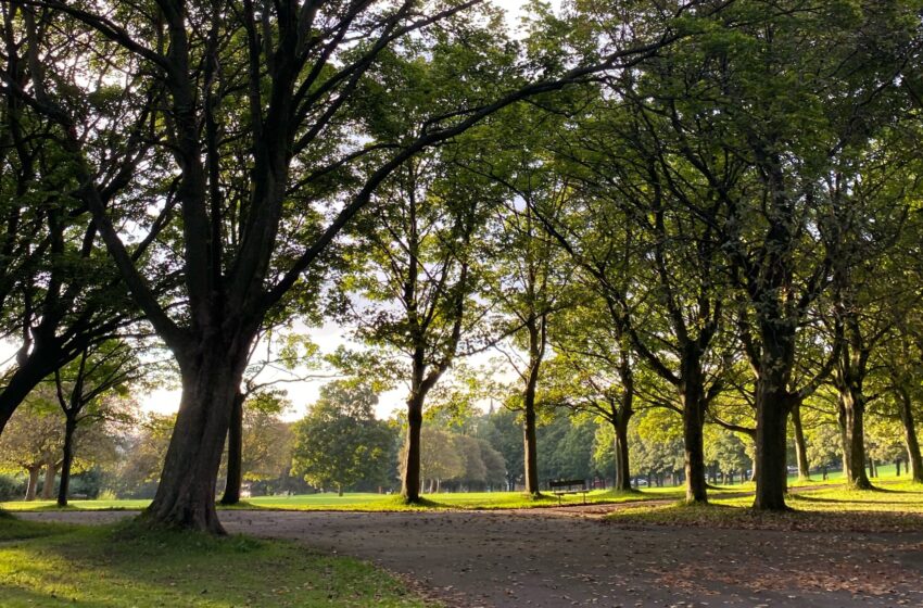  Woodhouse Moor cordoned off after body found in park